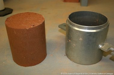 335433075 757385065962542 1783442765568589045 n 335433075 757385065962542 1783442765568589045 n