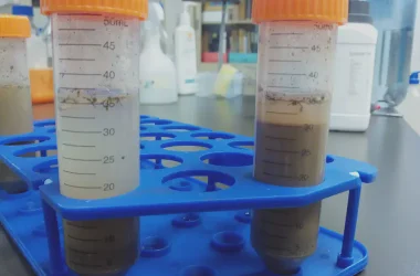 Water Soluble Sulphate ​